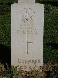 Salonika (Lembet Road) Military Cemetery - Faulkner, W